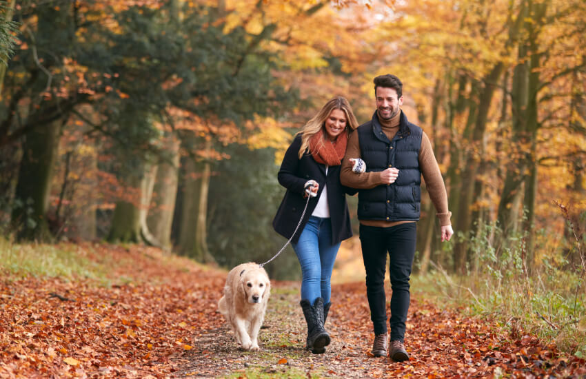 Couple se promène avec un chien